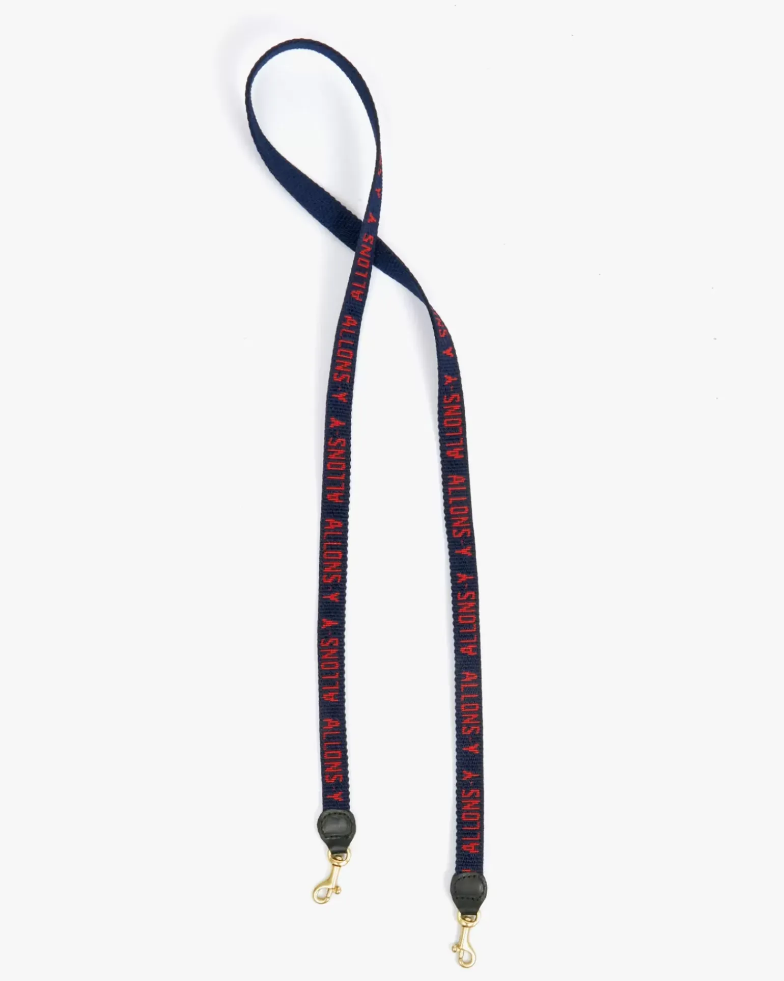 Lanyard